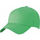 color:kiwi